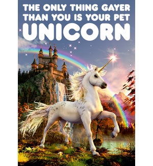 BD/Your Pet Unicorn